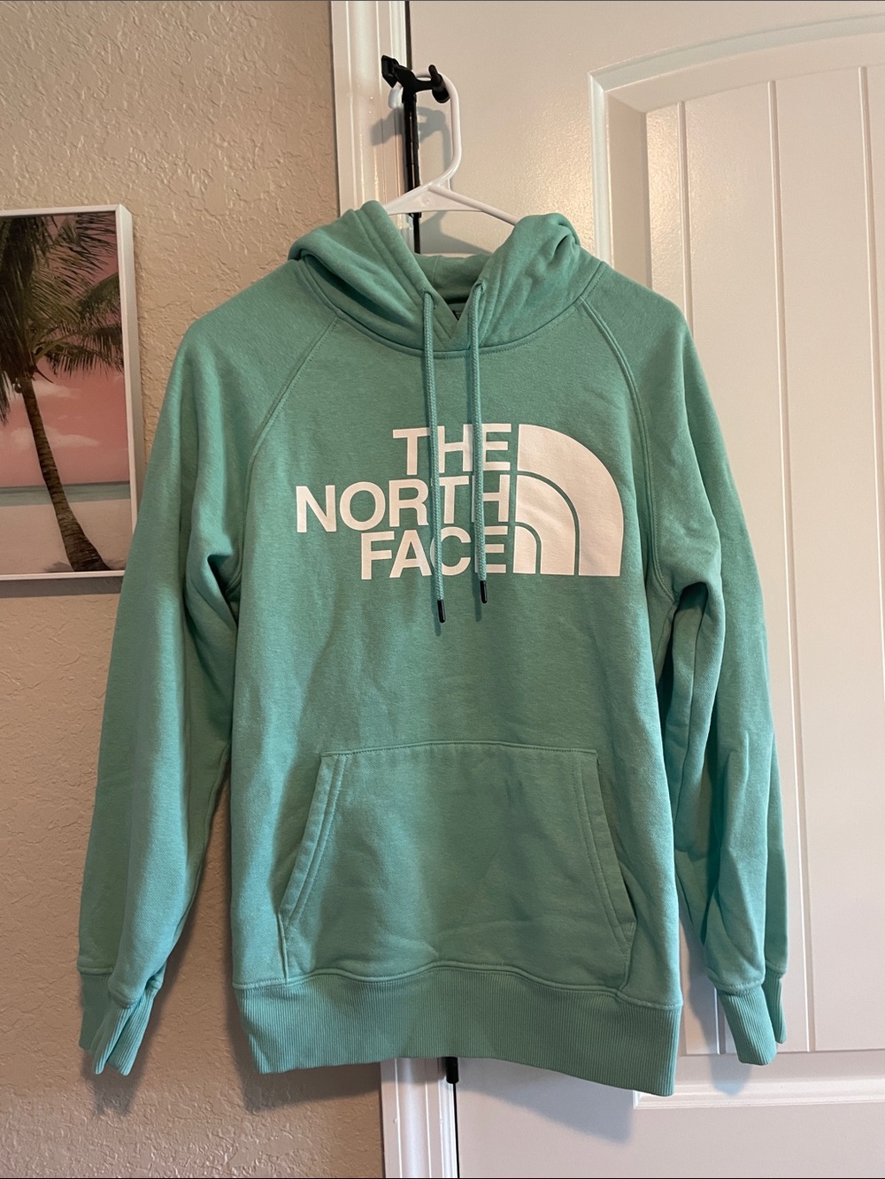 The North Face Teal Logo Pullover Hoodie